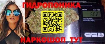 эйфоретик Пенза