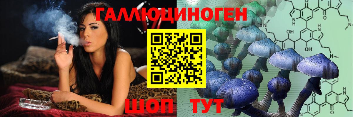 Псилоцибиновые грибы Psilocybe  Вход с VPN  Псилоцибиновые грибы мухоморы  Рославль 
